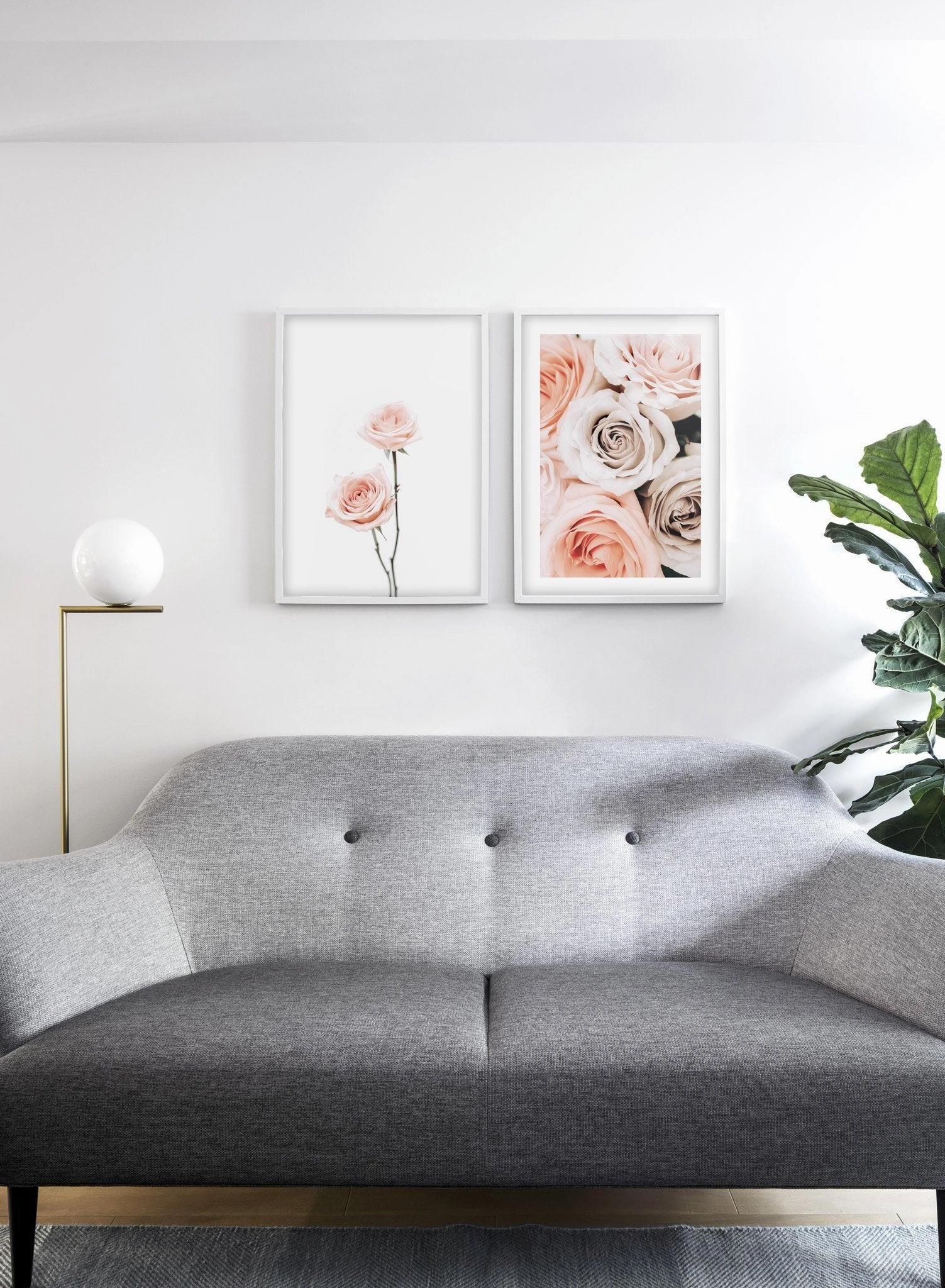 Pink Roses, Poster