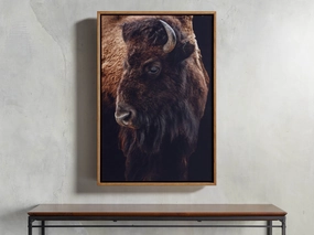 Plains Bison Framed Printnordic style wall decor