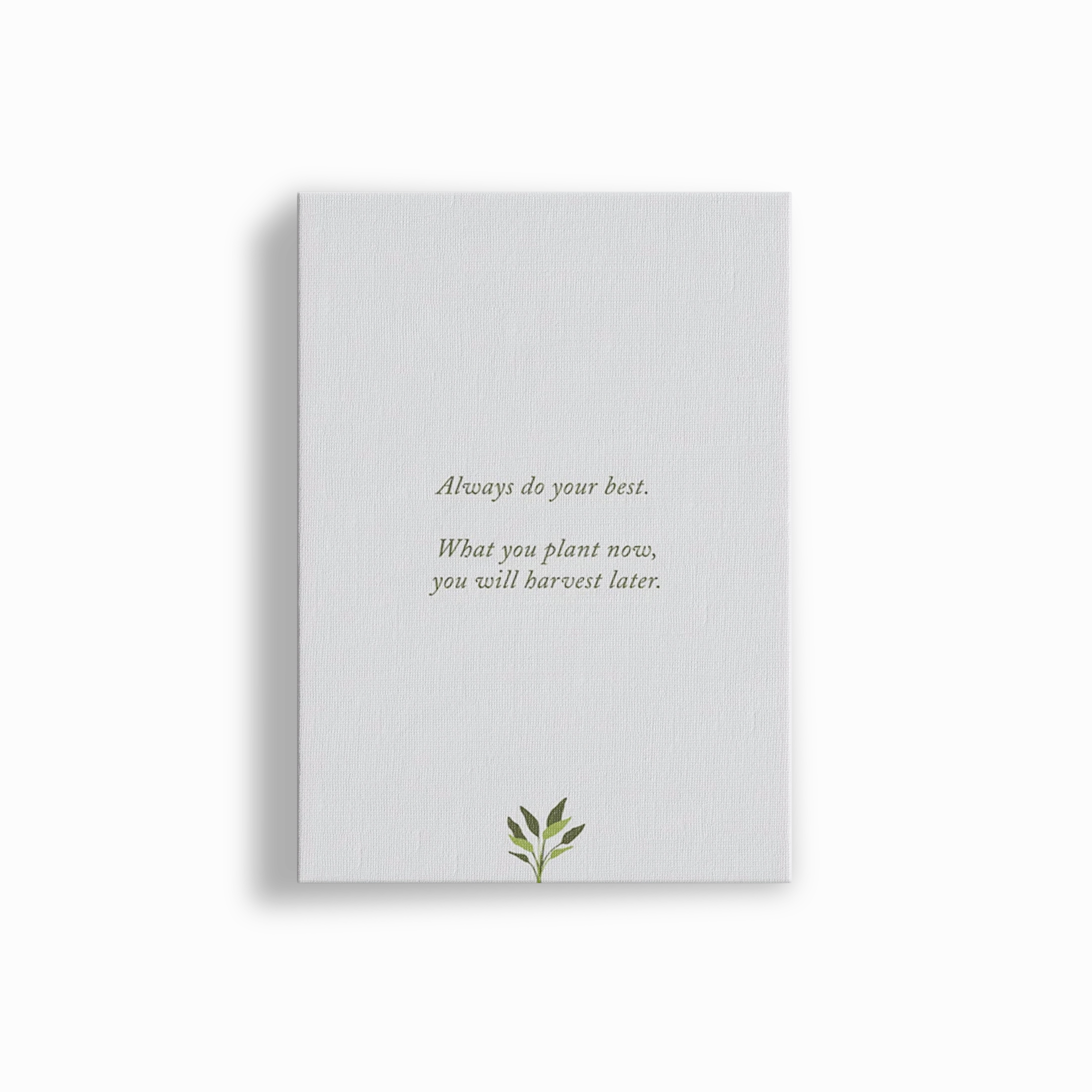 Plant Now, Harvest Later 2