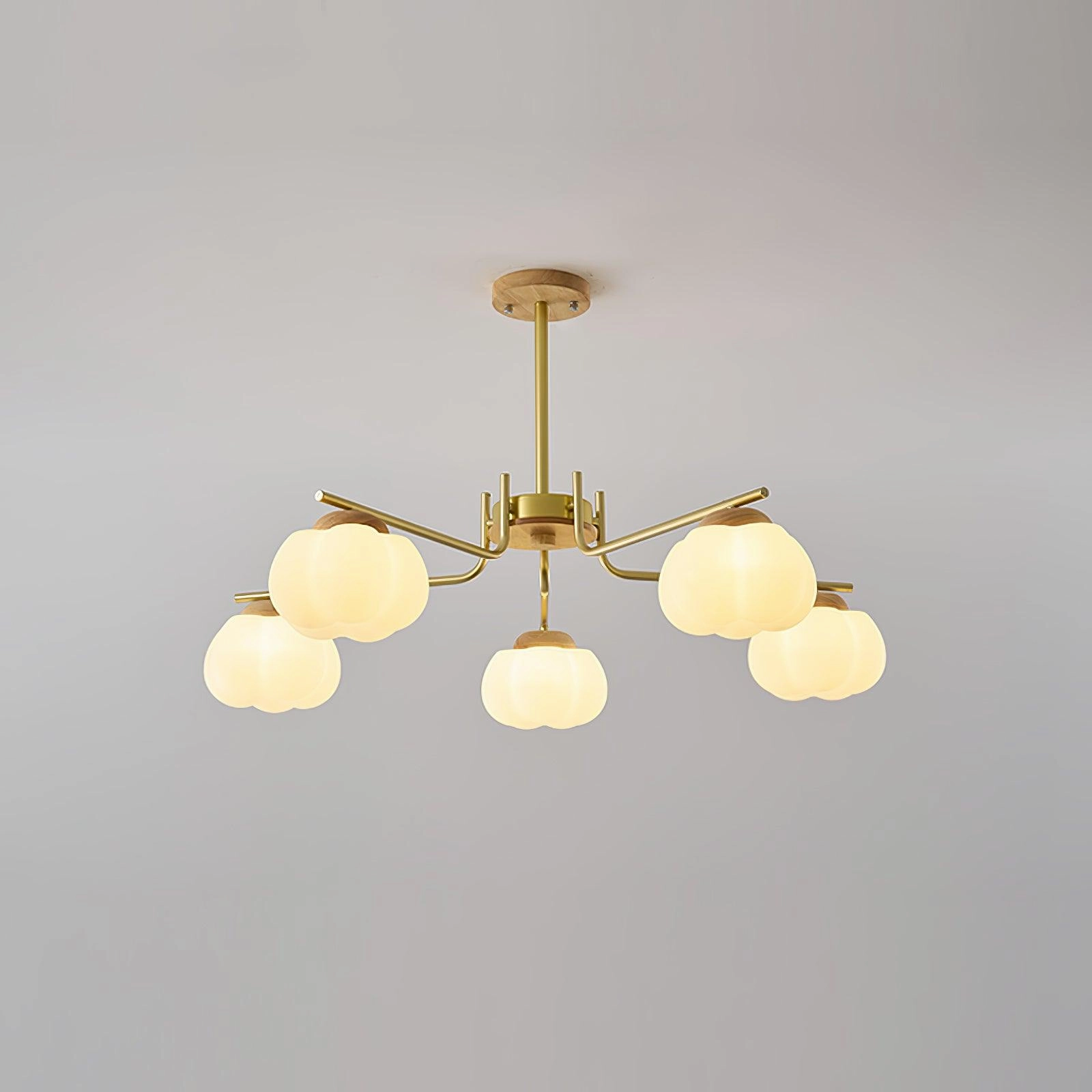 Plastic Cotton Balls Chandelier