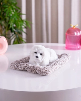 Playful Pup Tabletop Plush Toyhome decor ,wall decor 
