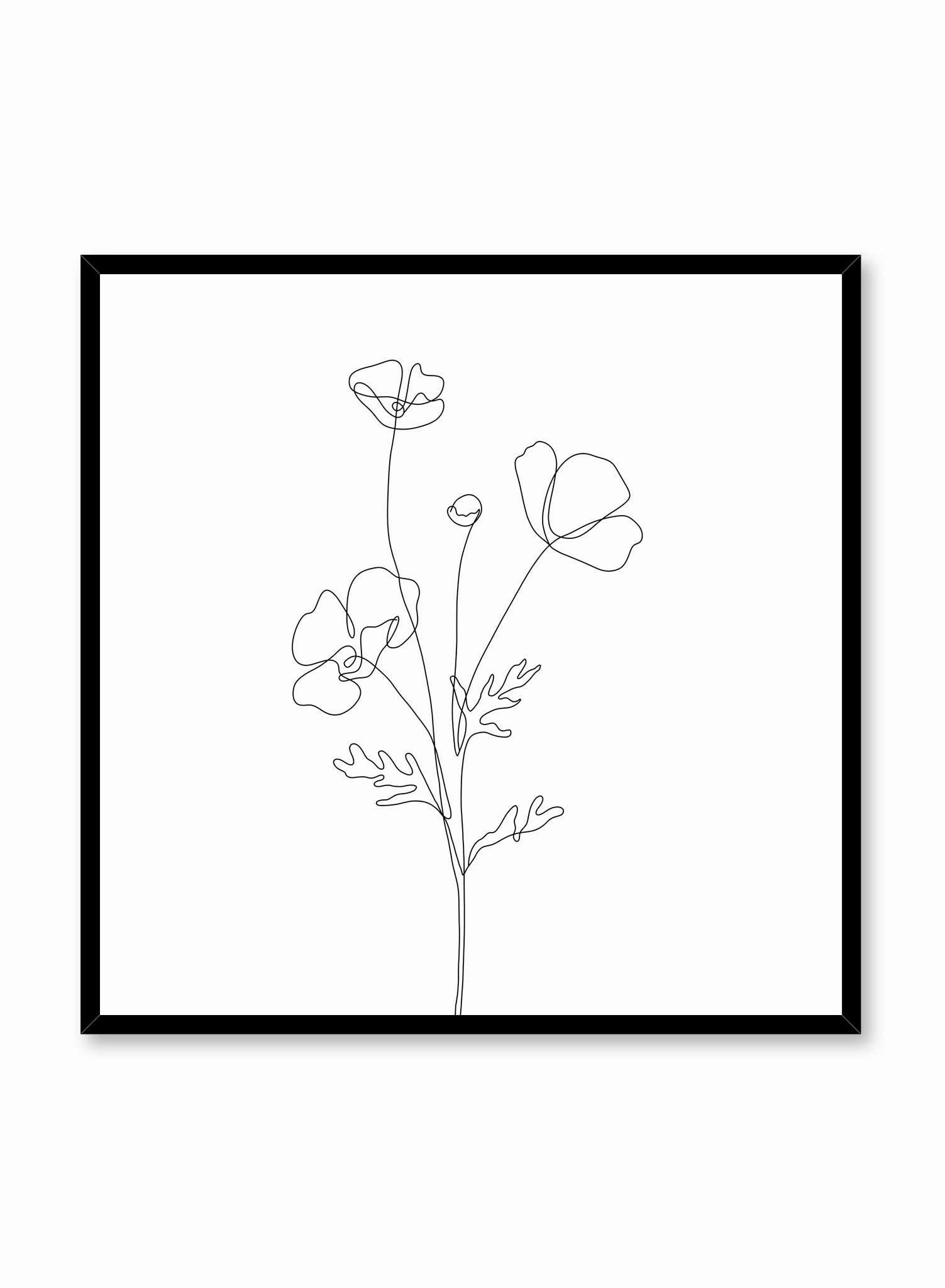 Poppy Sketch, Poster