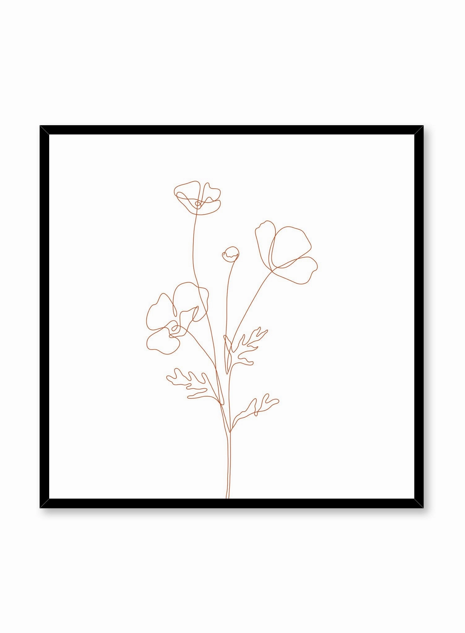 Poppy Sketch with Orange Lines, Poster