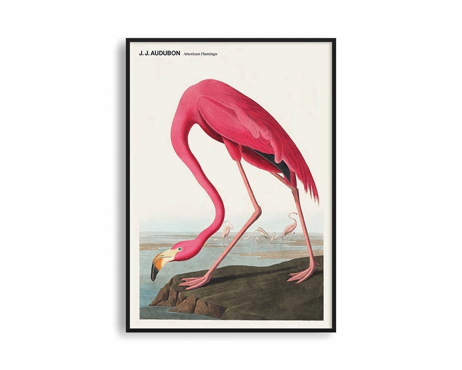 Poster Hub - American Flamingonordic style wall decor