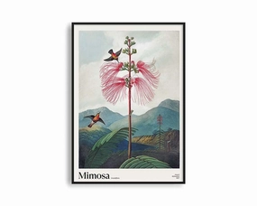 Poster Hub - Mimosa Grandiflora Postermodern abstract painting decor