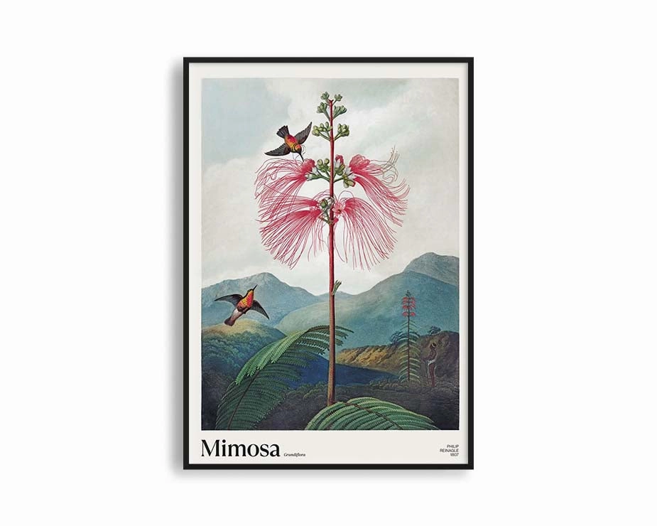 Poster Hub - Mimosa Grandiflora Postermodern abstract painting decor