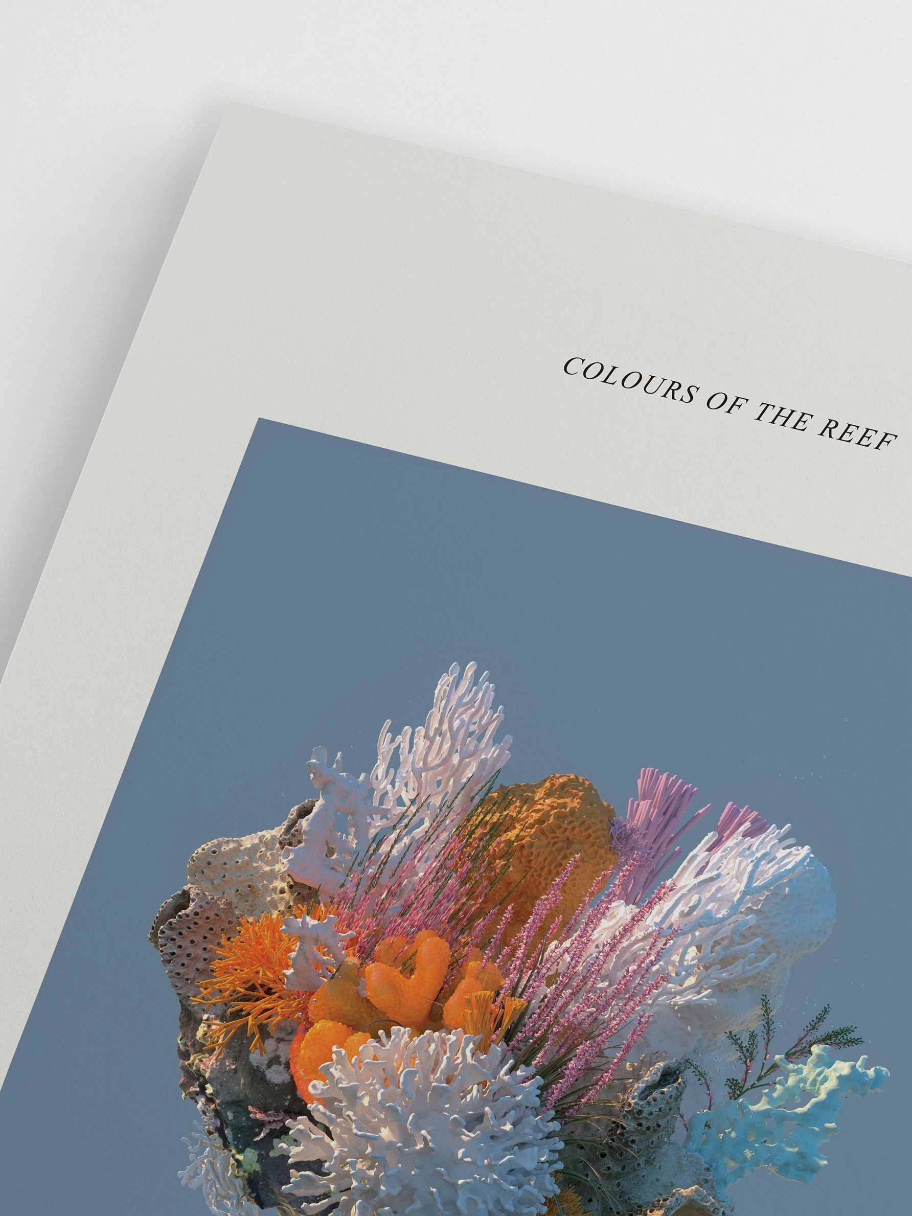 Poster Hub - The Coral