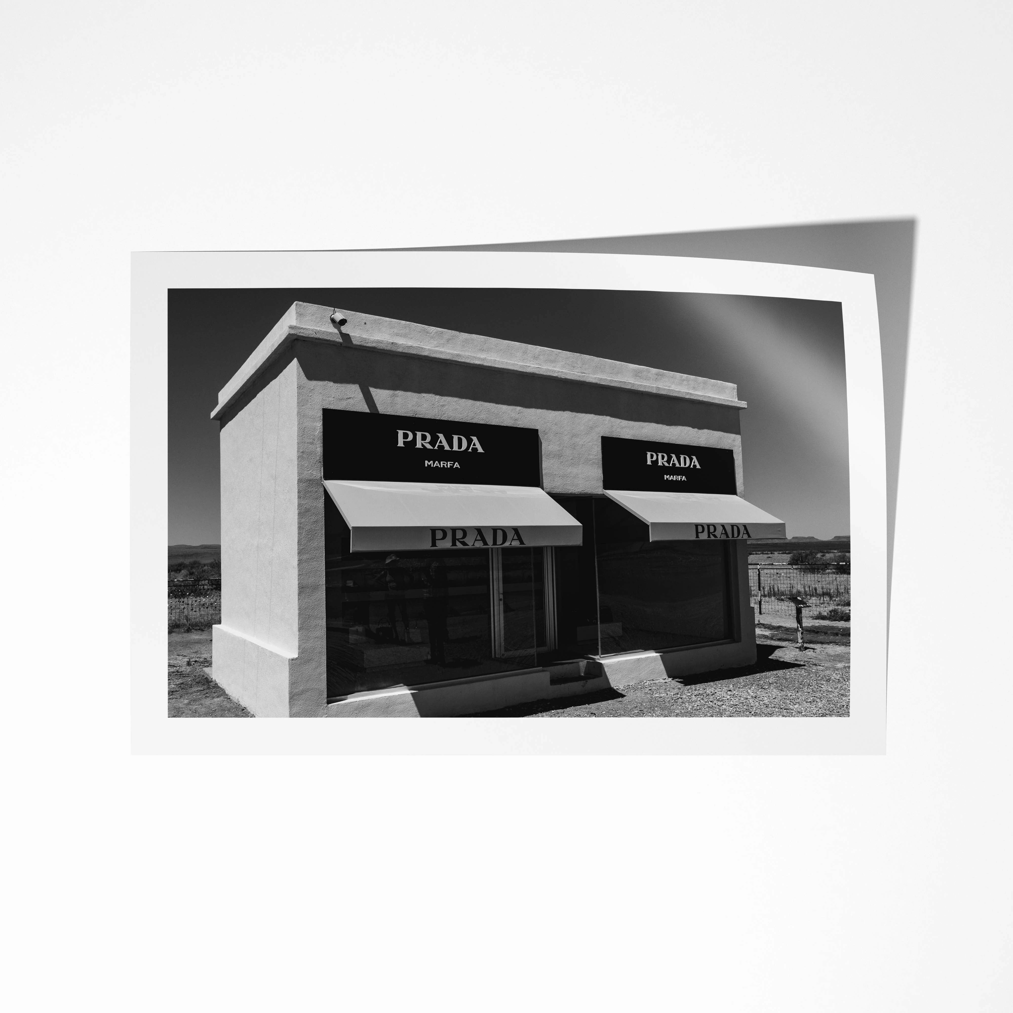 Prada B & W