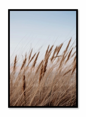 Prairie Feathers, Posterpop culture themed posters
