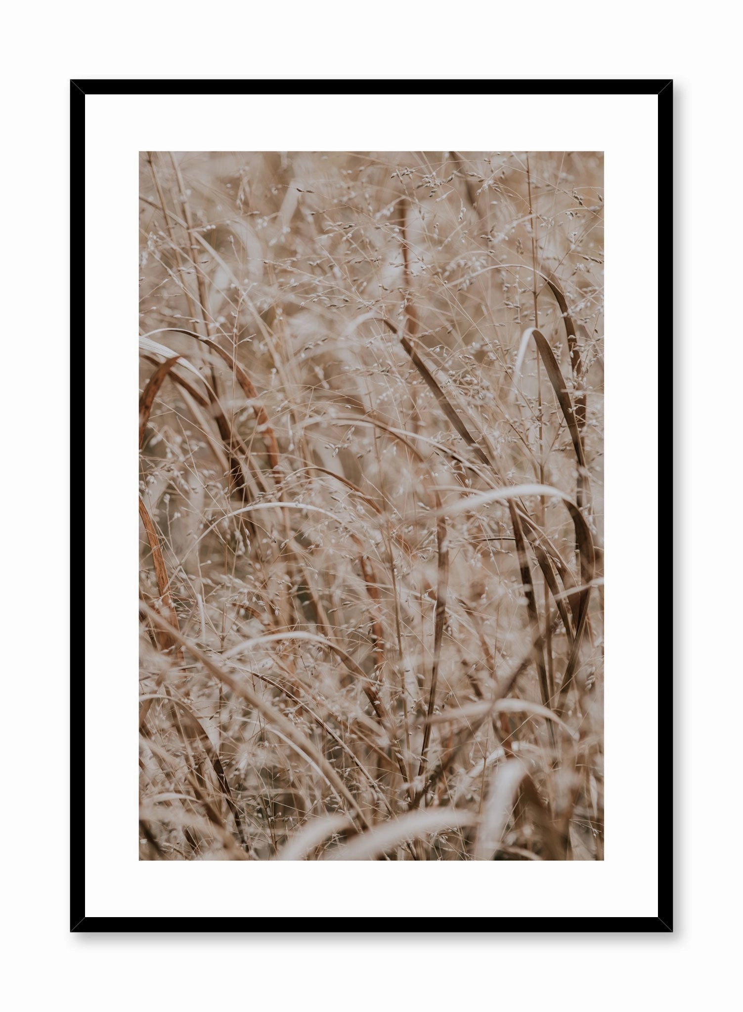 Prairie Grasses, Posterpop culture themed posters