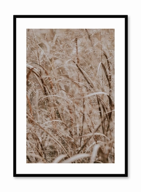 Prairie Grasses, Posterpop culture themed posters