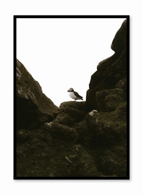 Puffin Portrait, Posterpop culture themed posters