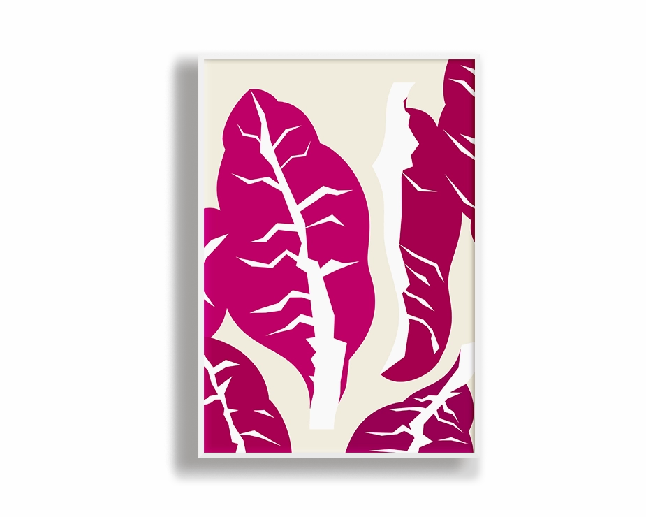 Radicchio Portrait