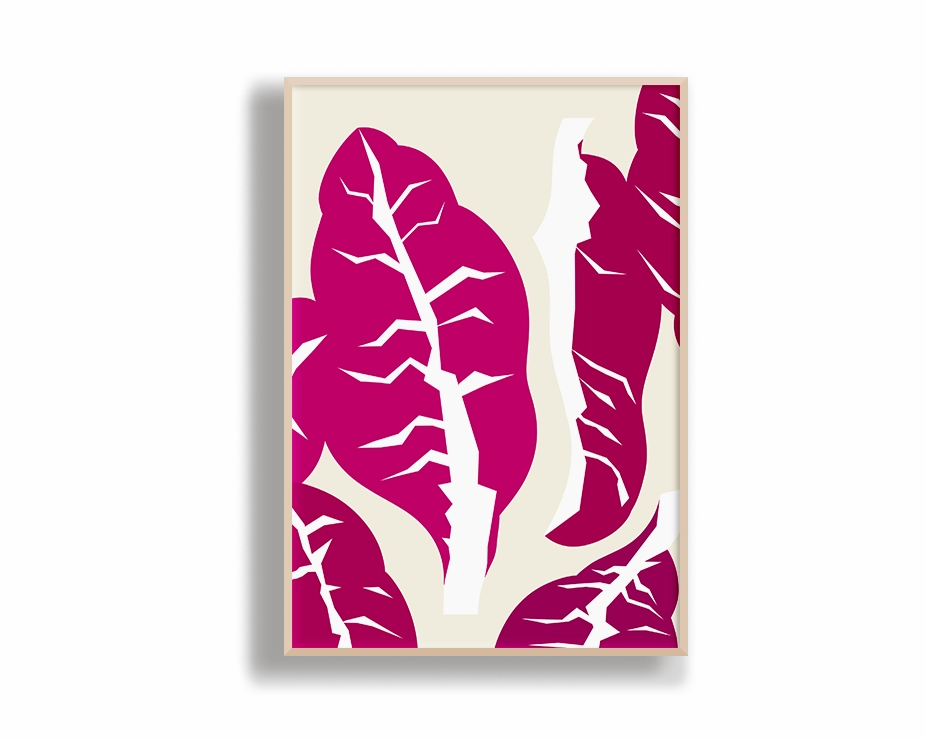 Radicchio Portrait