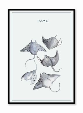 Ray Gang, Posterpop culture themed posters