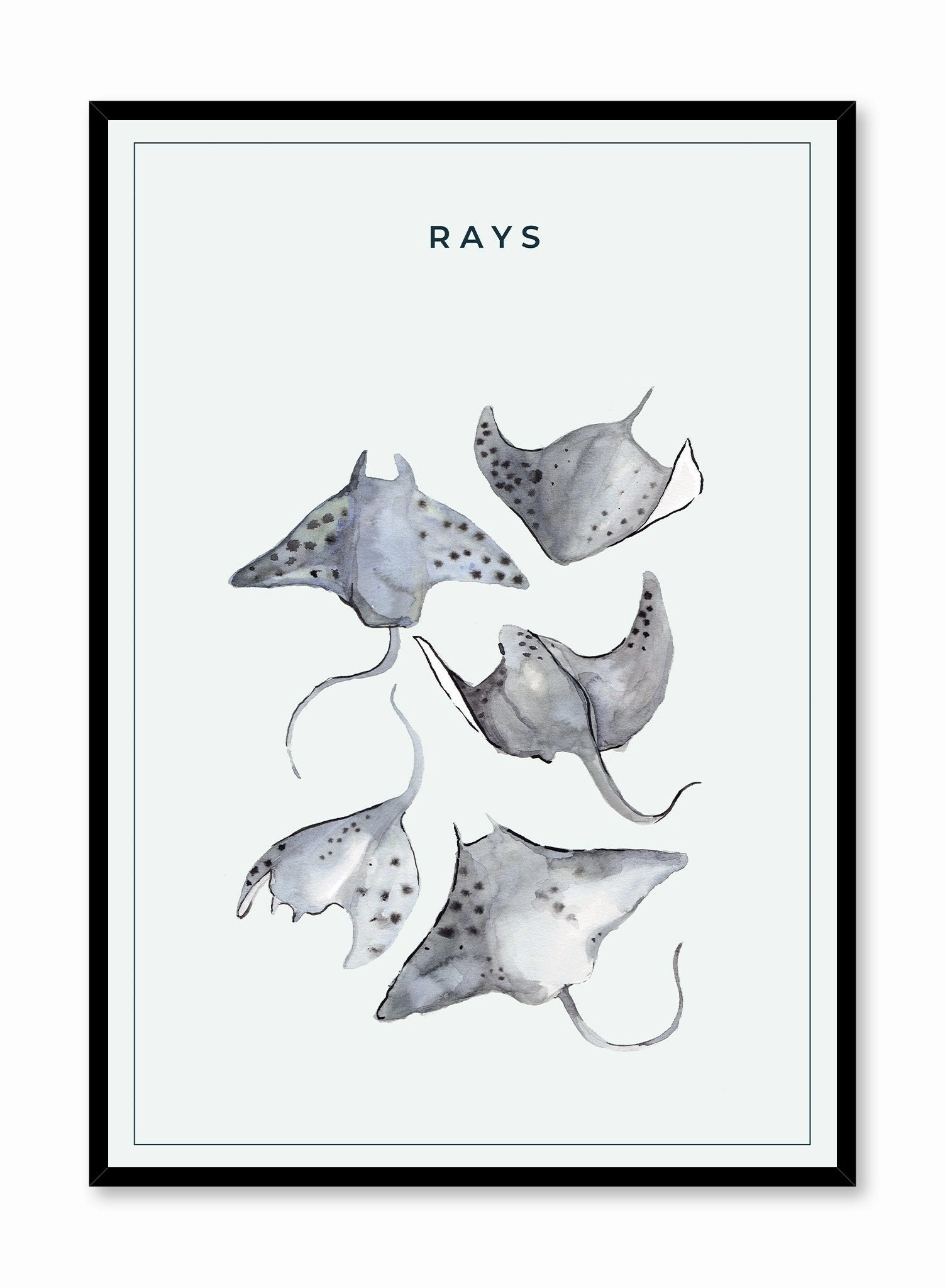 Ray Gang, Posterpop culture themed posters