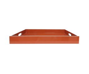 Rectangular Pop Color Trayhome decoration ,modern home decor 