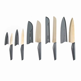 Robert Irvine 10 Piece Cutlery Set - Grey and Champagnemodern kitchen decor ,kitchen dinner set ,dinnerware 