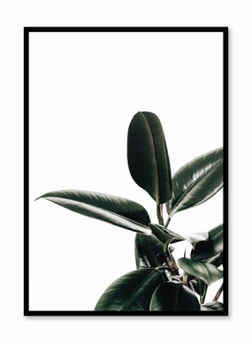 Rubber Tree, Posterpop culture themed posters