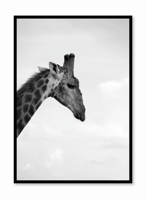 Safari, Posterpop culture themed posters