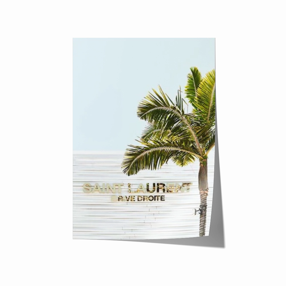 Saint Laurent Palm