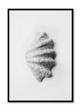 Scallop Shell, Posterpop culture themed posters