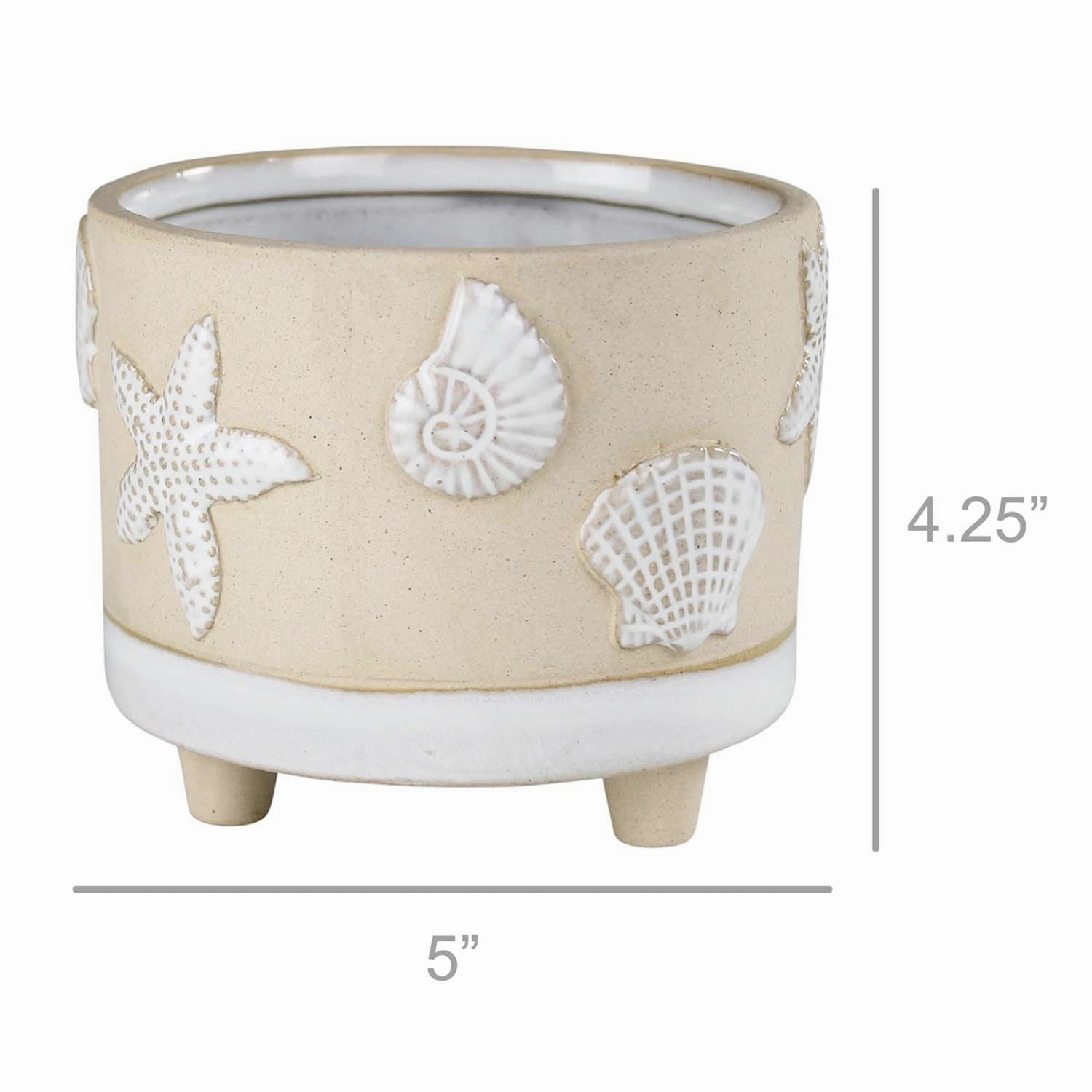 Seashell Ceramic Cachepot