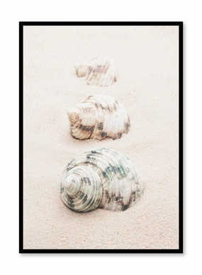 Seashell Road, Posterpop culture themed posters
