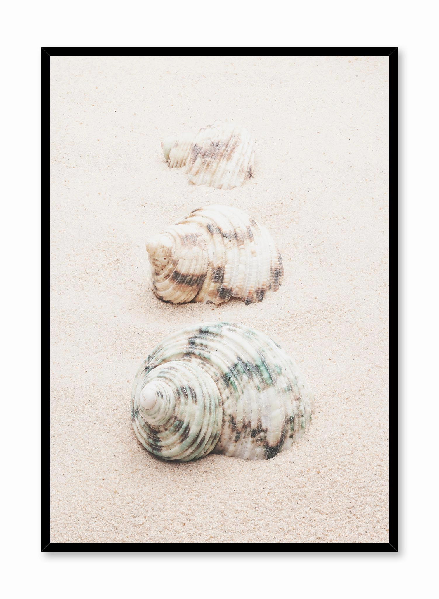 Seashell Road, Posterpop culture themed posters