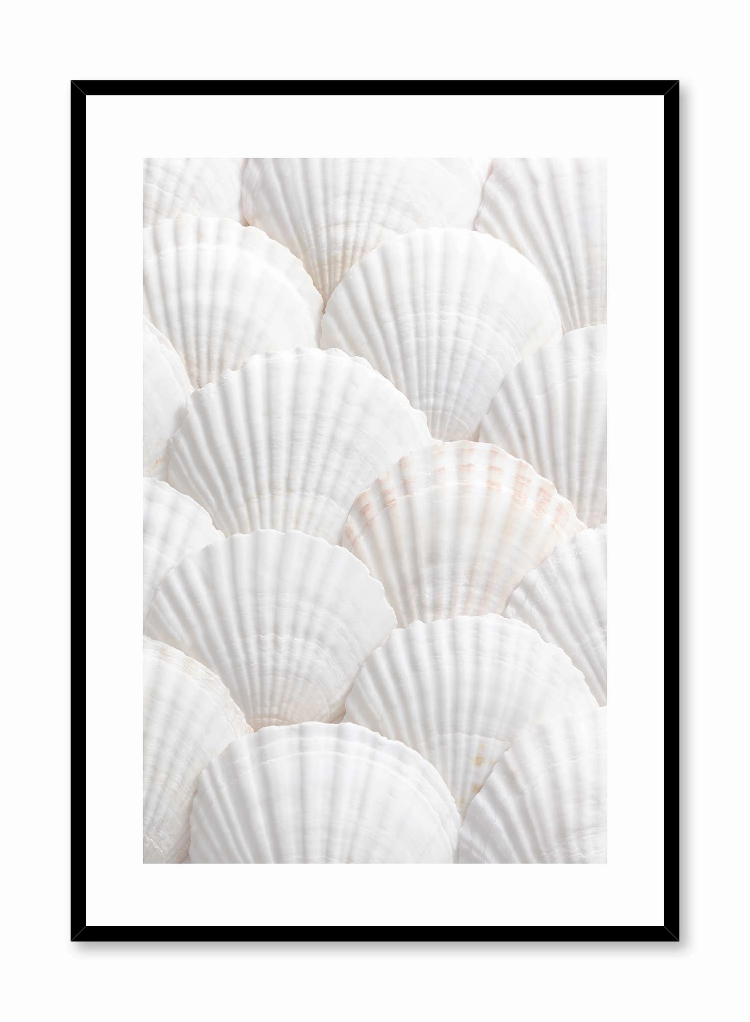 Seashell Selection, Posterpop culture themed posters