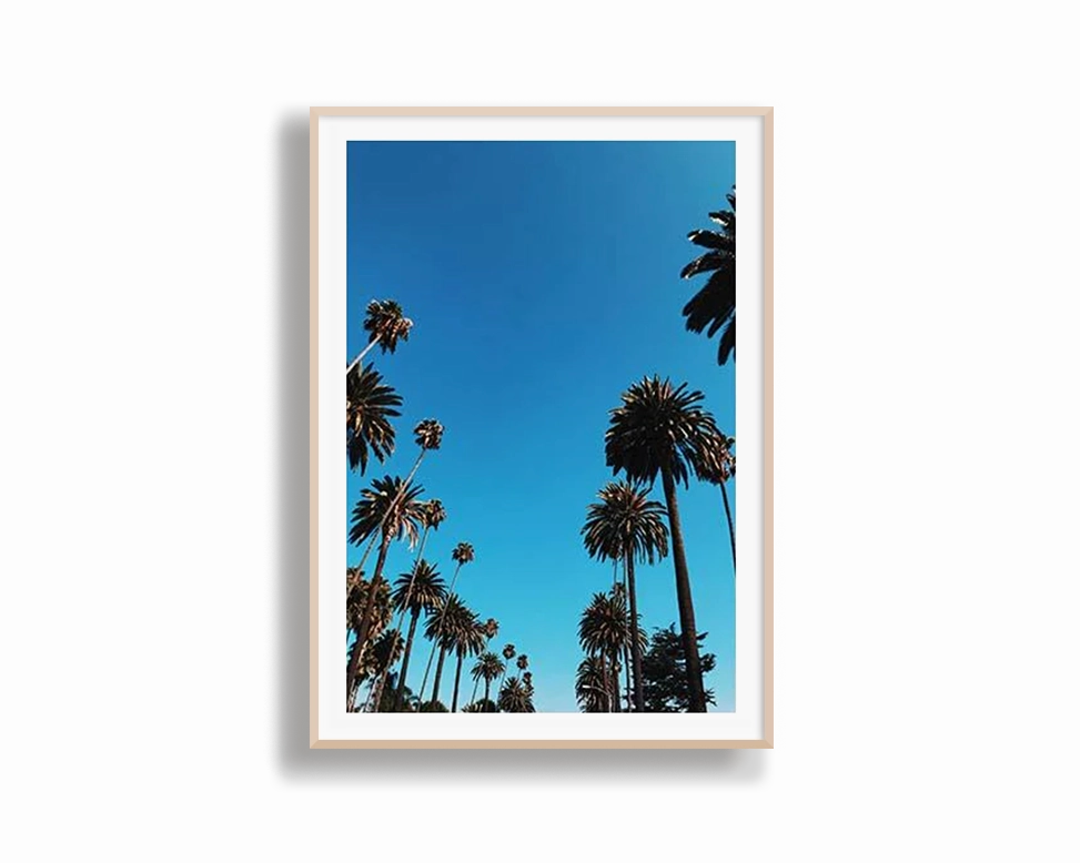 Seychelle Palms