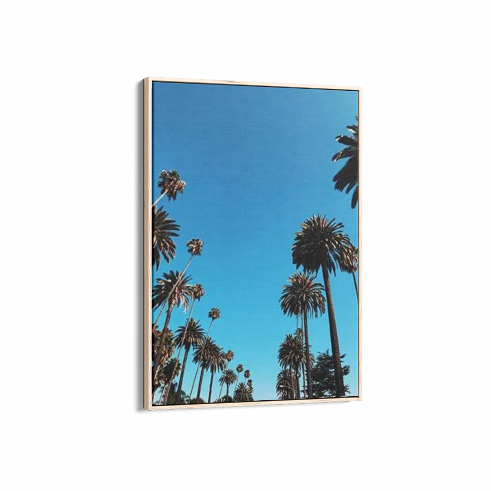 Seychelle Palms