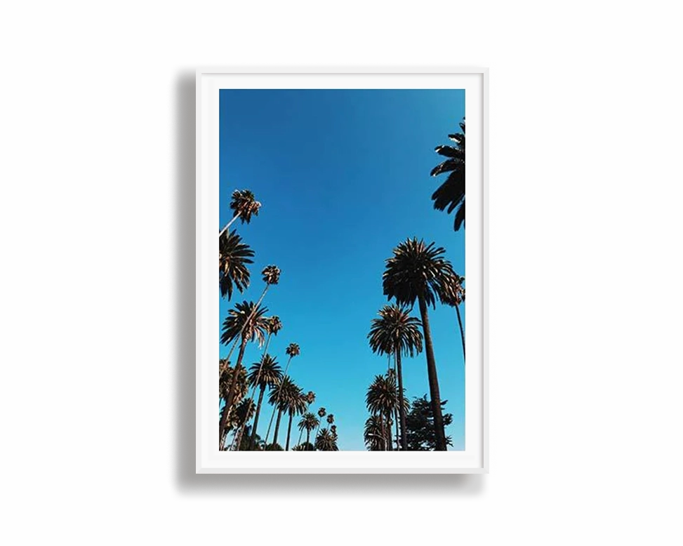Seychelle Palms