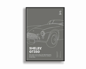 Shelby GT350modern abstract painting decor