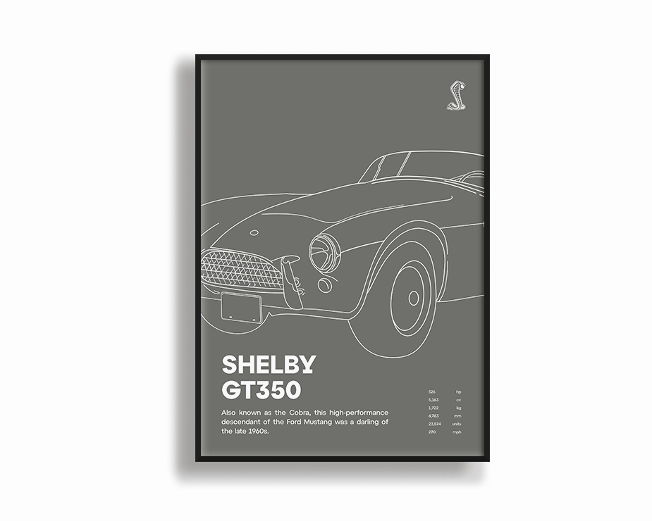 Shelby GT350modern abstract painting decor