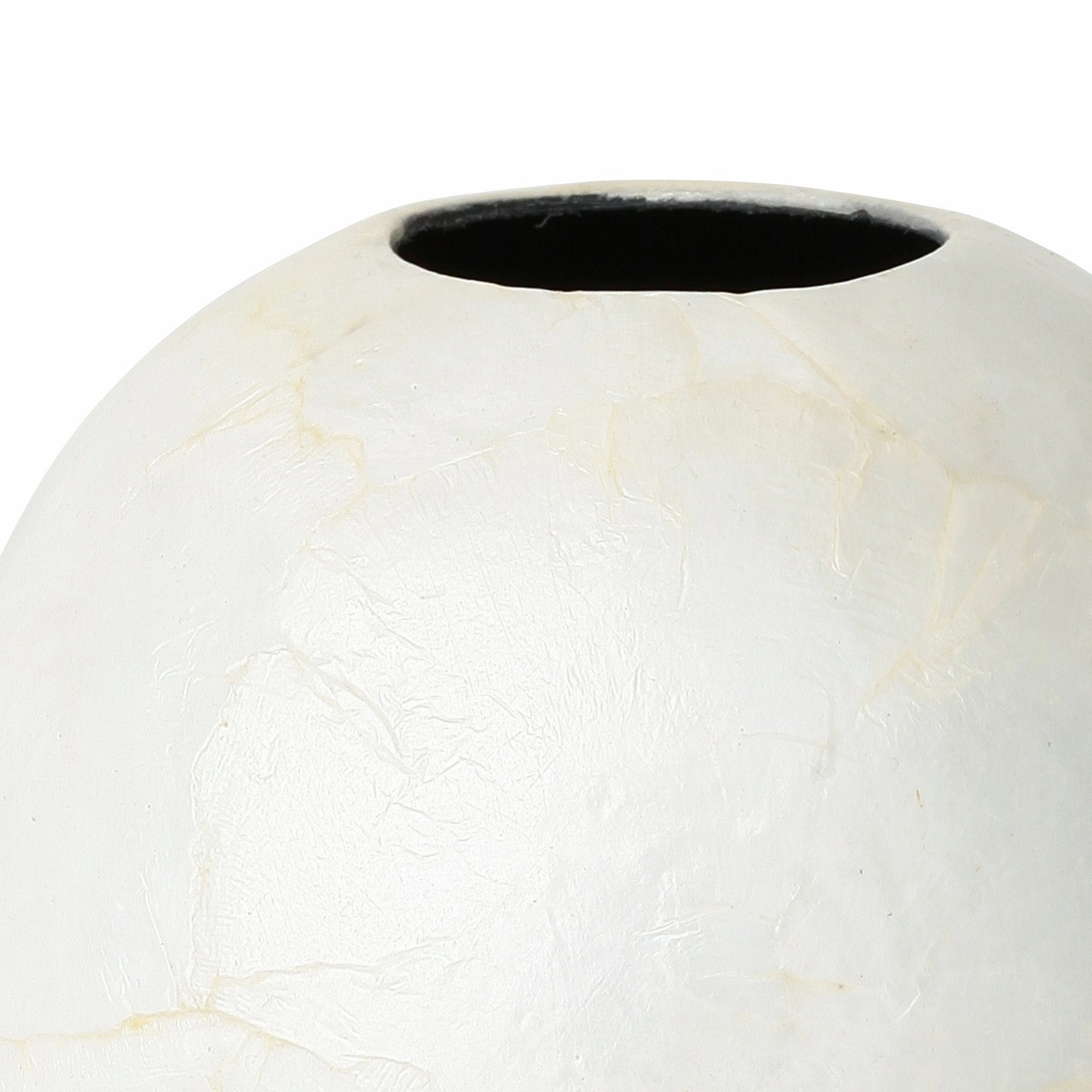 Shell Flower Vase Small White