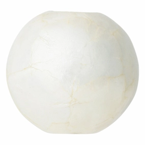 Shell Flower Vase Small Whitehome decor ,wall decor 