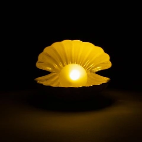 Shell Lamp Pink