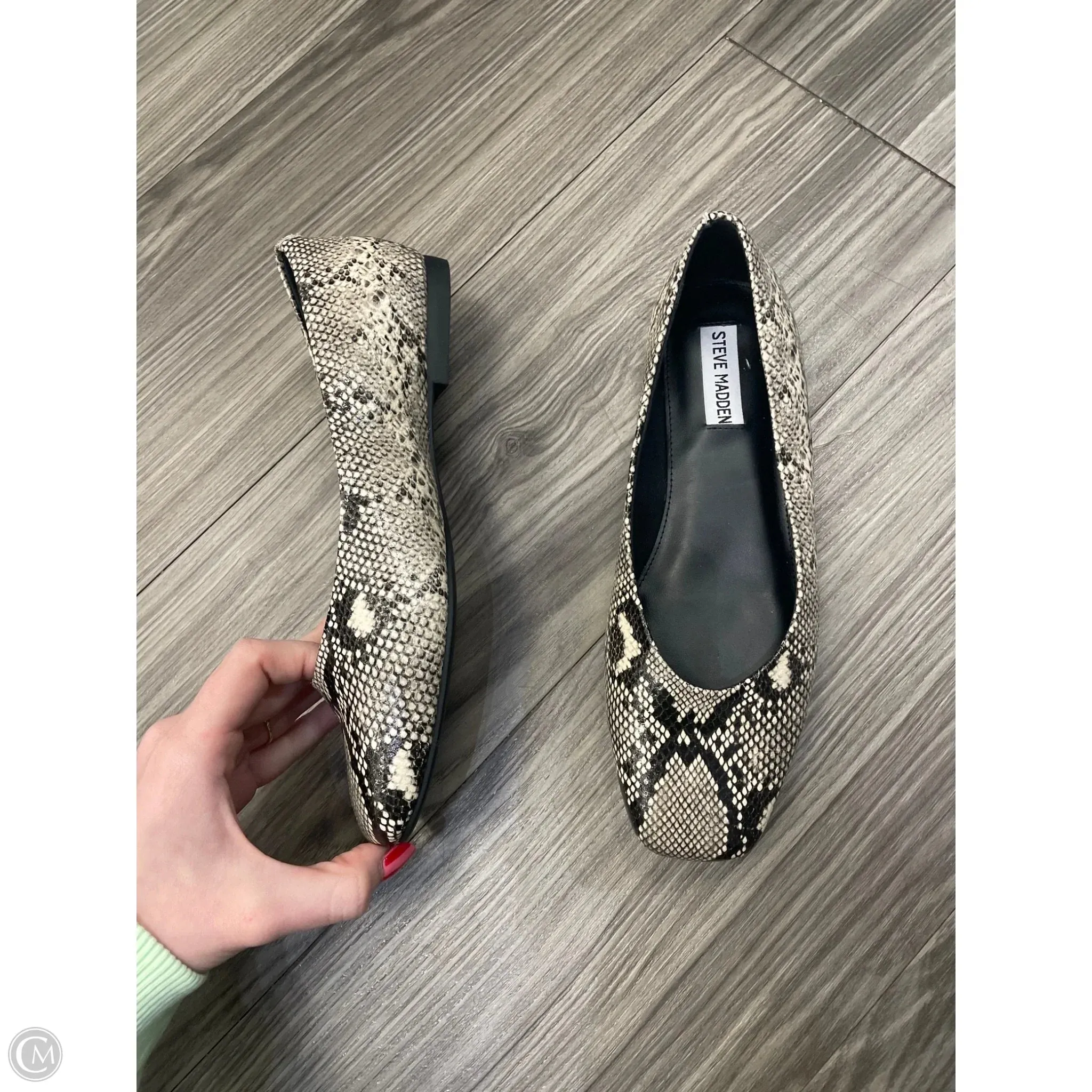 Shoes Flats By Steve Madden In Animal Print, Size: 8.5 steve madden