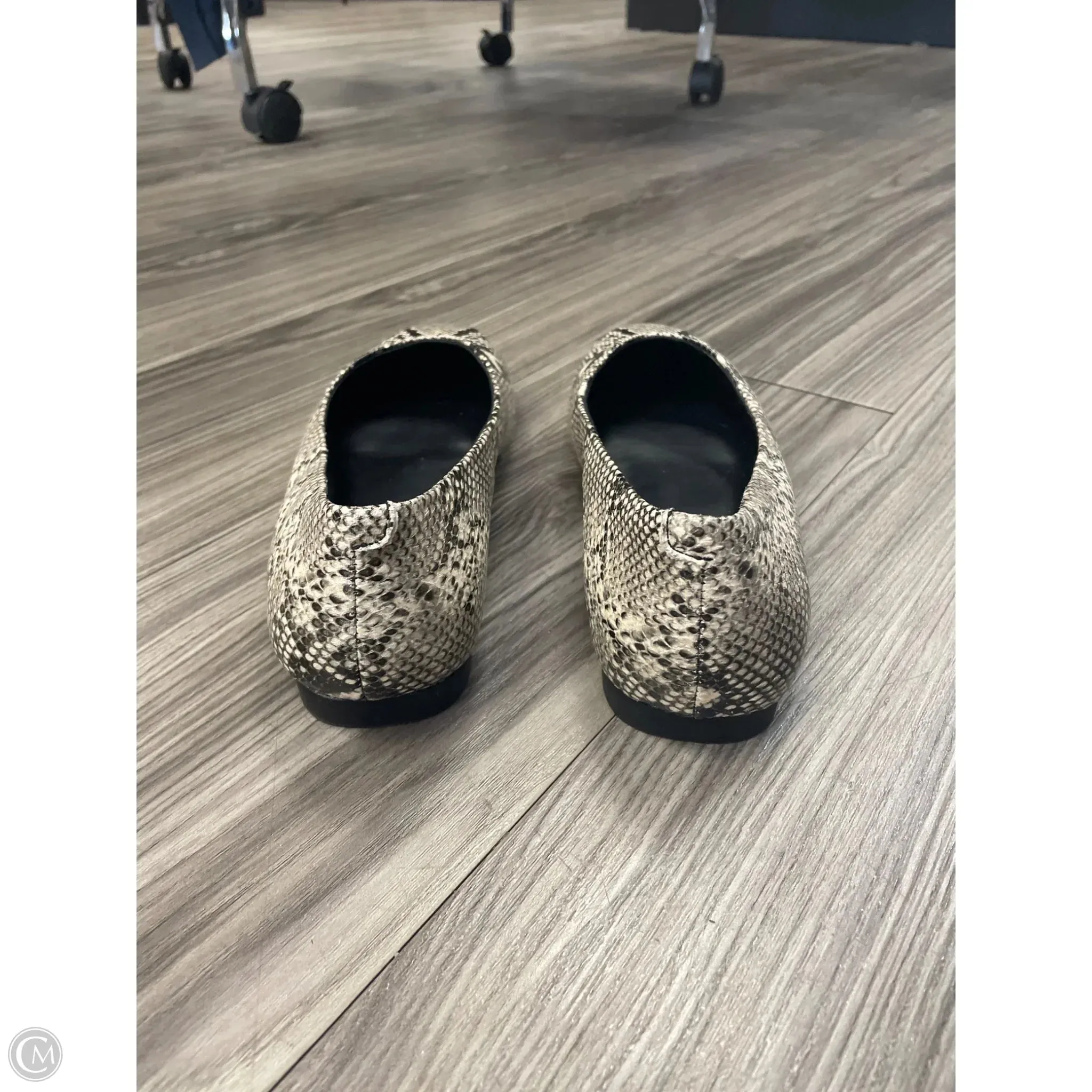 Shoes Flats By Steve Madden In Animal Print, Size: 8.5 steve madden