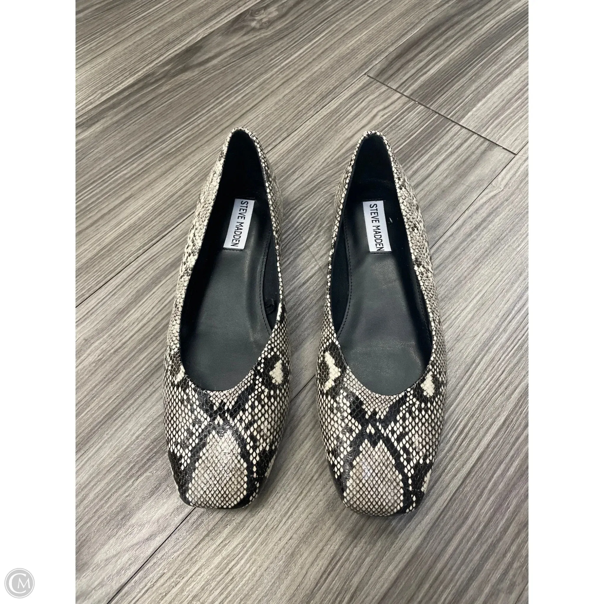 Shoes Flats By Steve Madden In Animal Print, Size: 8.5 steve madden