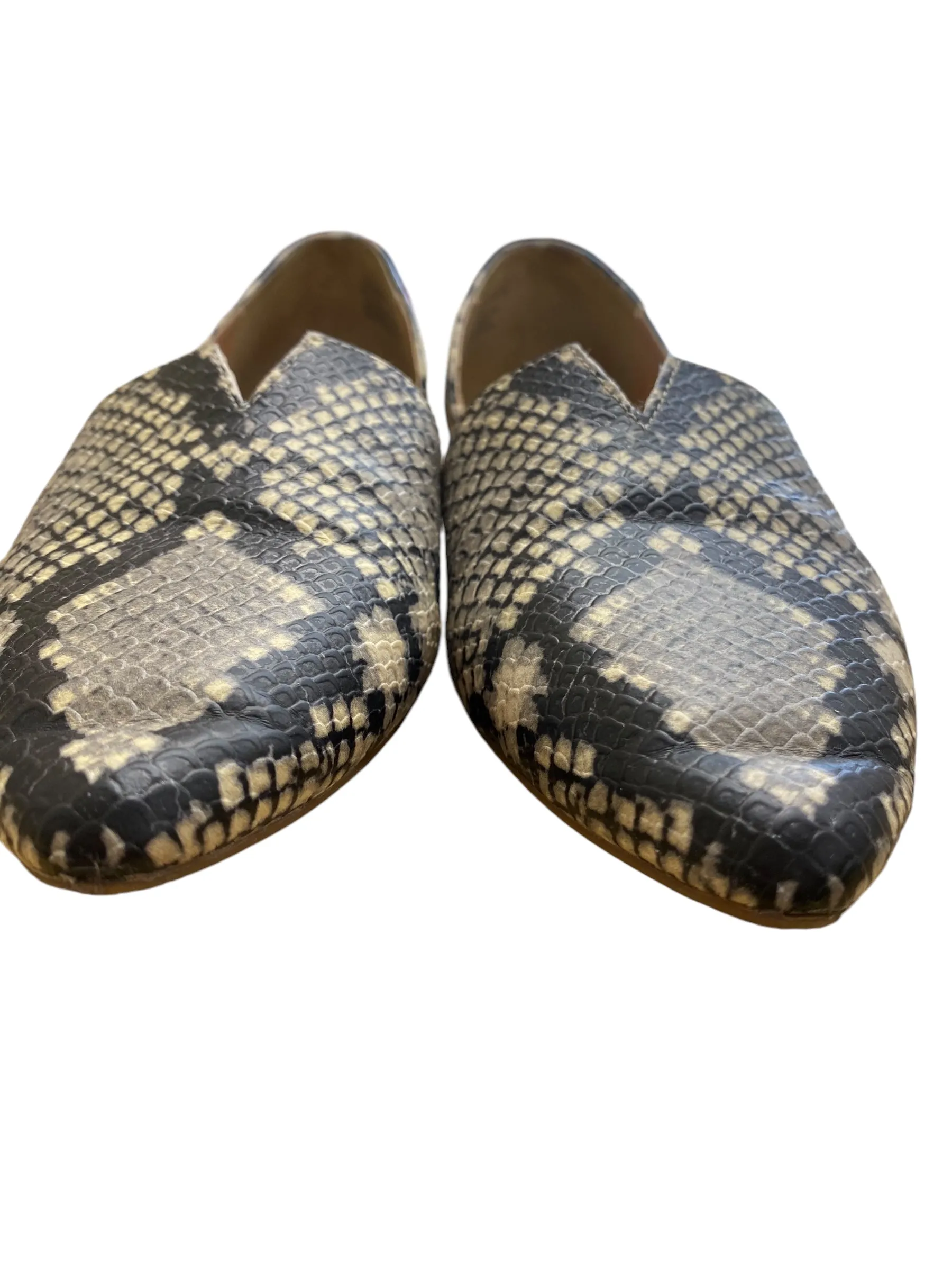 Shoes Flats By Steve Madden In Snakeskin Print, Size: 6 steve madden