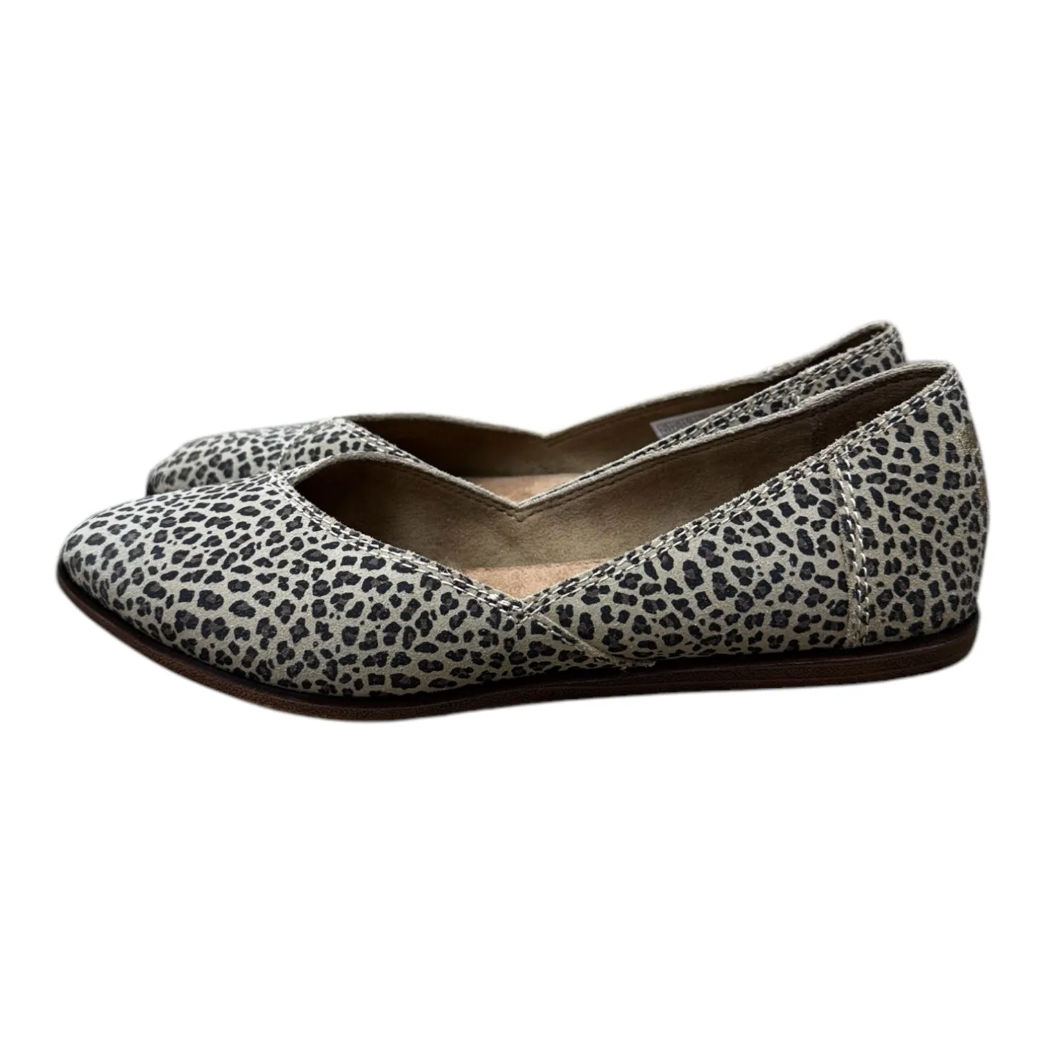 Shoes Flats By Toms In Animal Print, Size: 6.5 toms