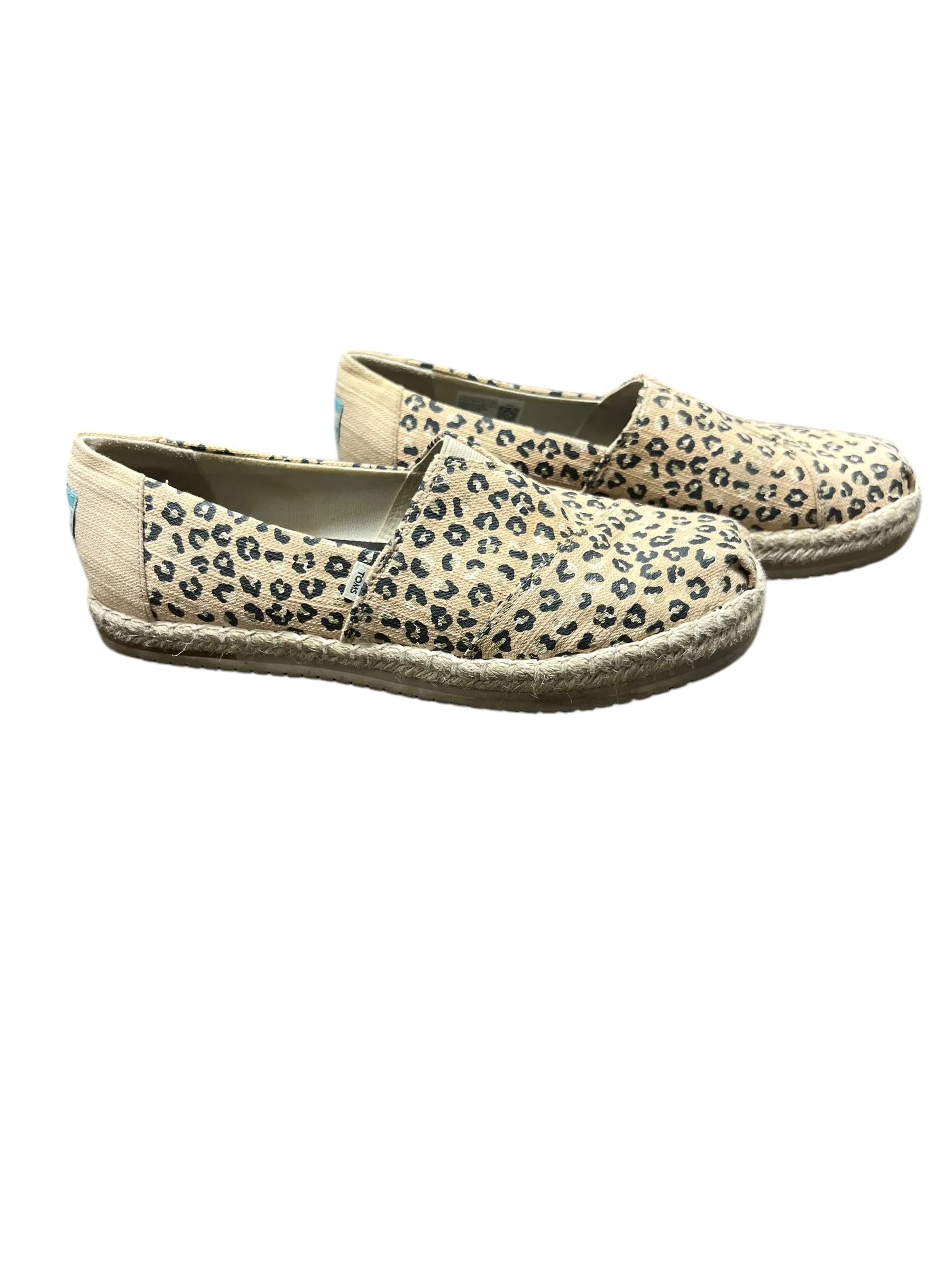 Shoes Flats By Toms In Leopard Print, Size: 10 toms