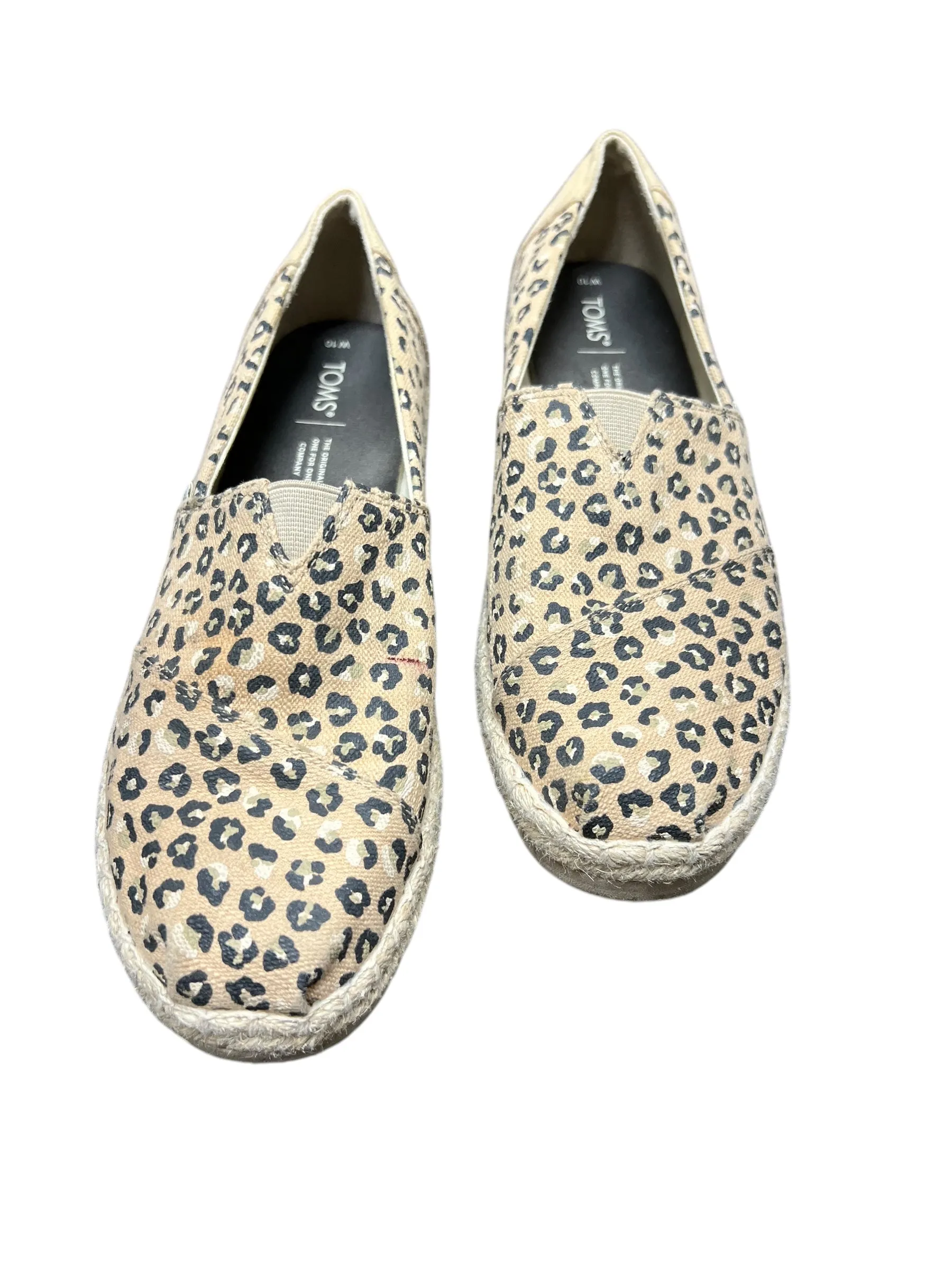 Shoes Flats By Toms In Leopard Print, Size: 10 toms