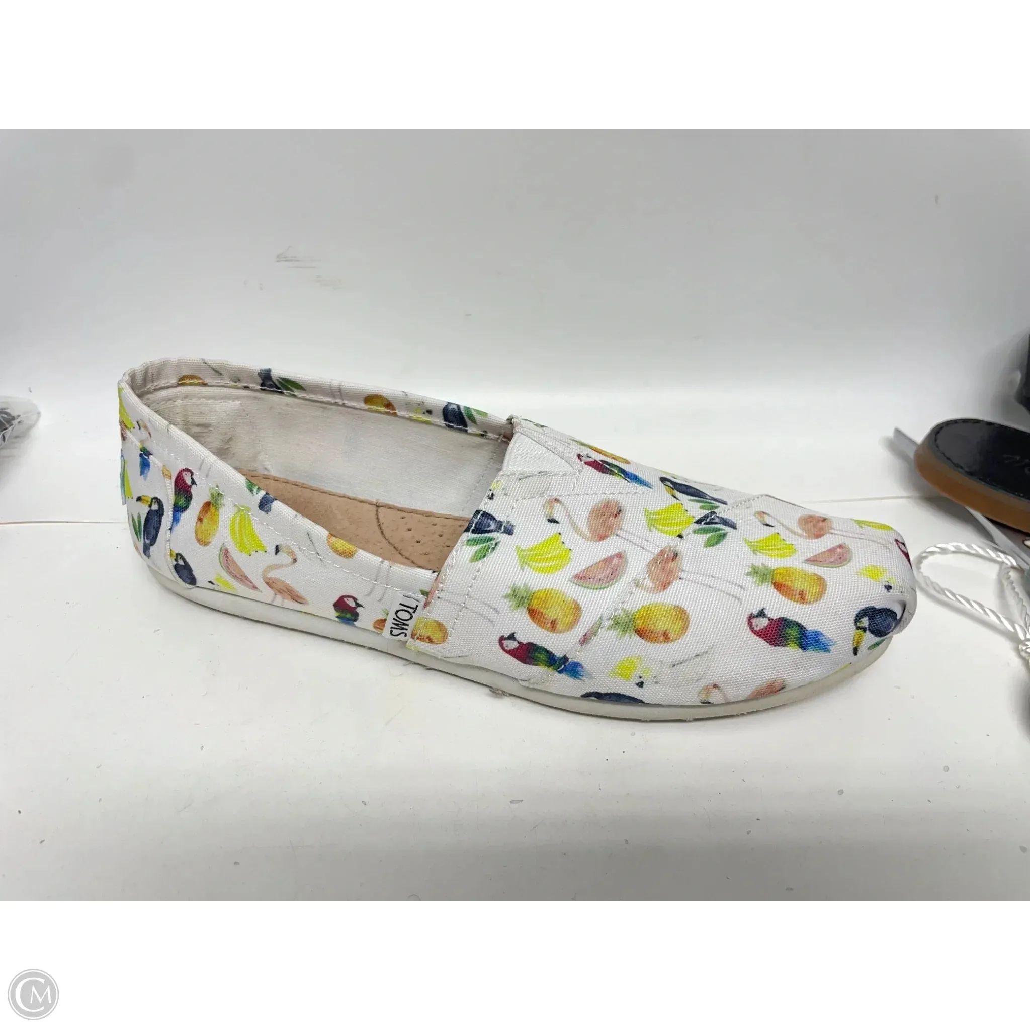 Shoes Flats By Toms In Multi-colored, Size: 8 toms