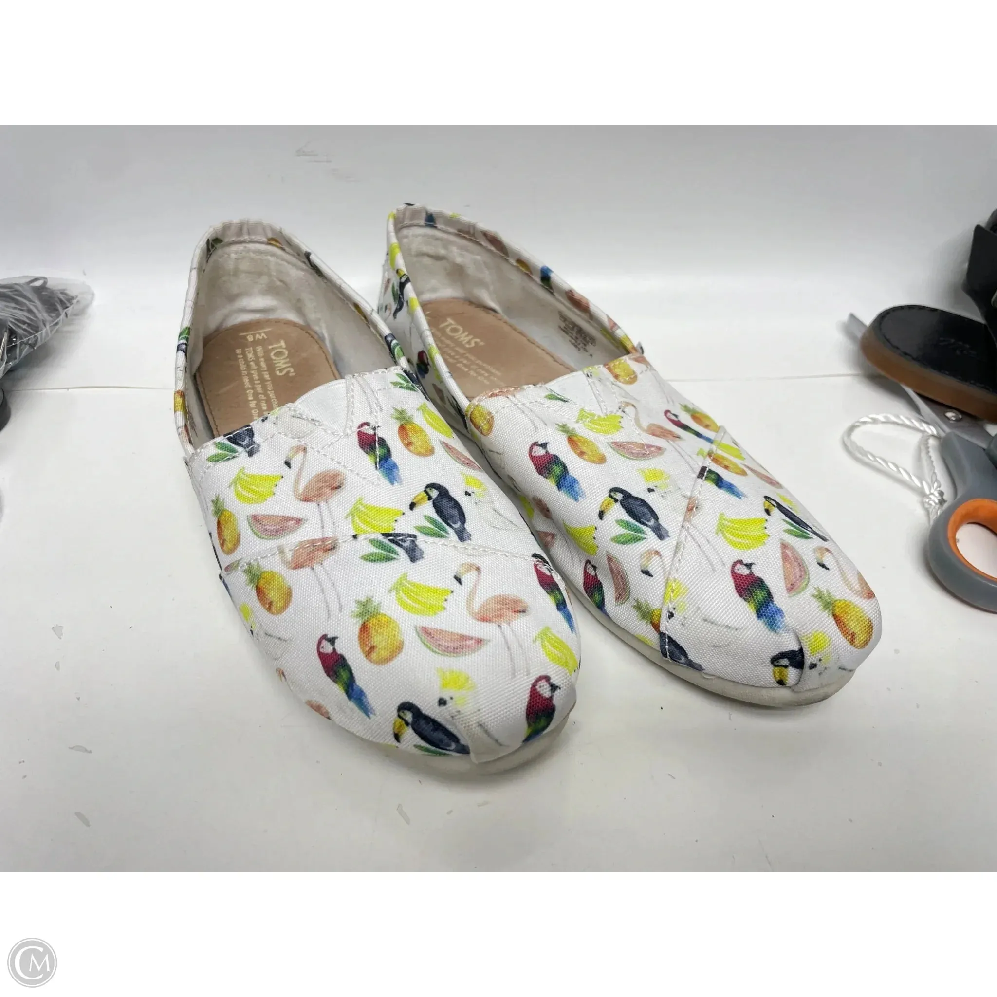 Shoes Flats By Toms In Multi-colored, Size: 8 toms