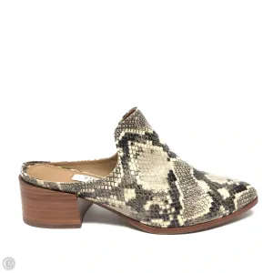 Shoes Heels Block By Steve Madden In Snakeskin Print, Size: 8 steve madden