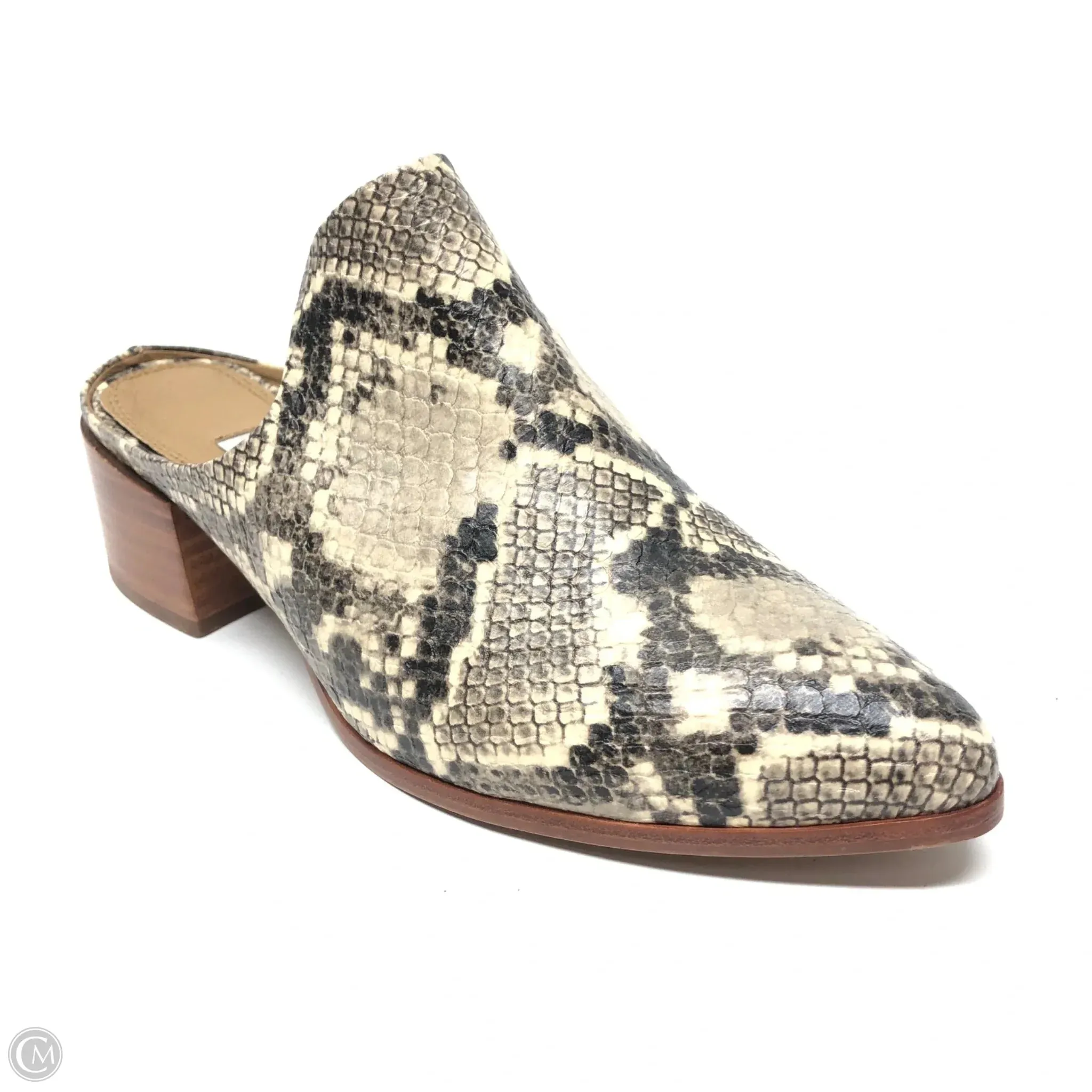 Shoes Heels Block By Steve Madden In Snakeskin Print, Size: 8 steve madden