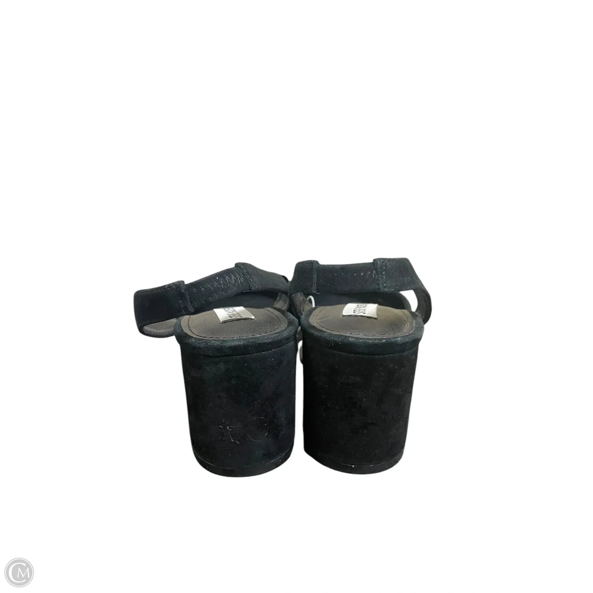 Shoes Heels Kitten By Steve Madden In Black, Size: 10 steve madden